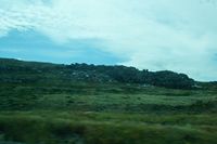 
DSC00337